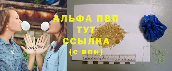 крисы Новозыбков