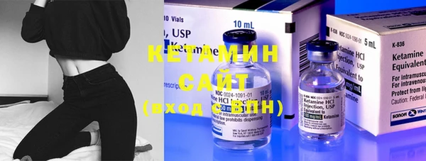 крисы Новозыбков