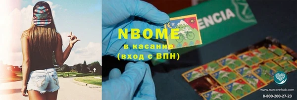 крисы Новозыбков