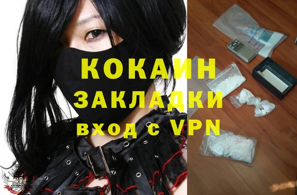 крисы Новозыбков