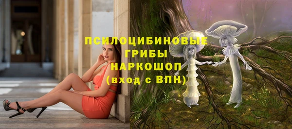 соль курить ск Новодвинск
