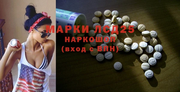 крисы Новозыбков