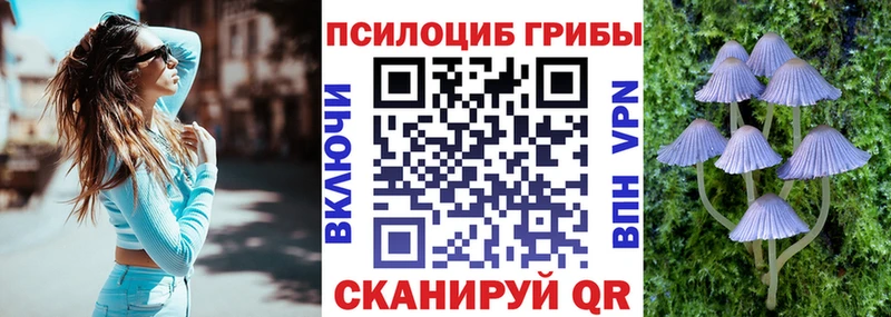 Псилоцибиновые грибы Magic Shrooms  Лесозаводск 